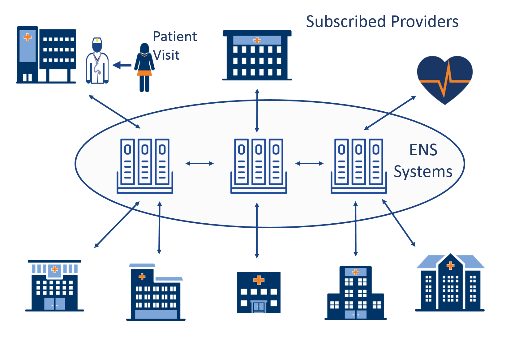 Animation of ENS