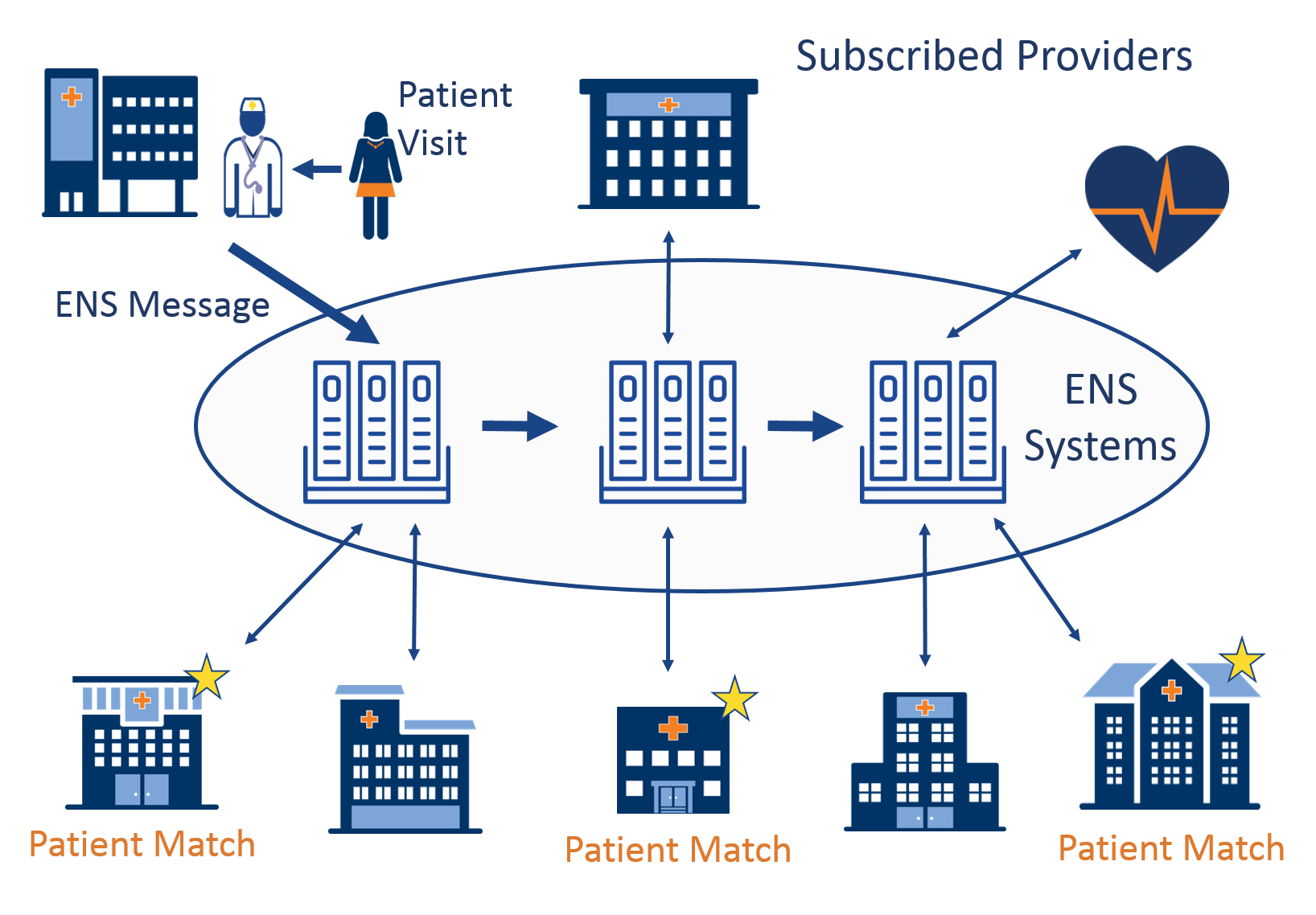 Animation of ENS